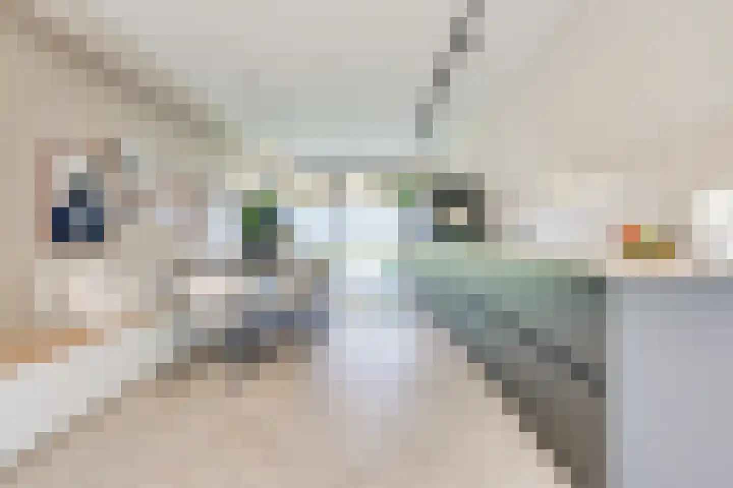 Leisteenoever 13 Nieuwegein thumbnail 25