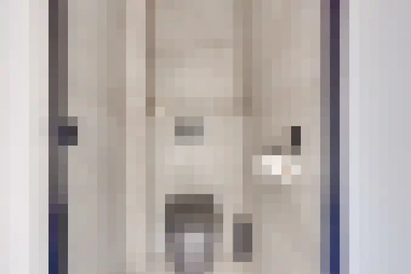 Leisteenoever 13 Nieuwegein thumbnail 64