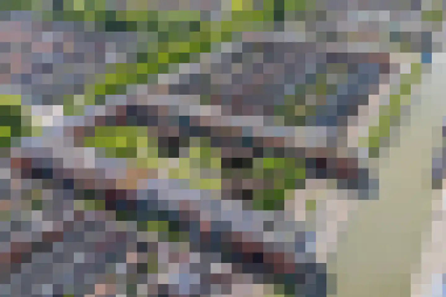 Leisteenoever 13 Nieuwegein thumbnail 85