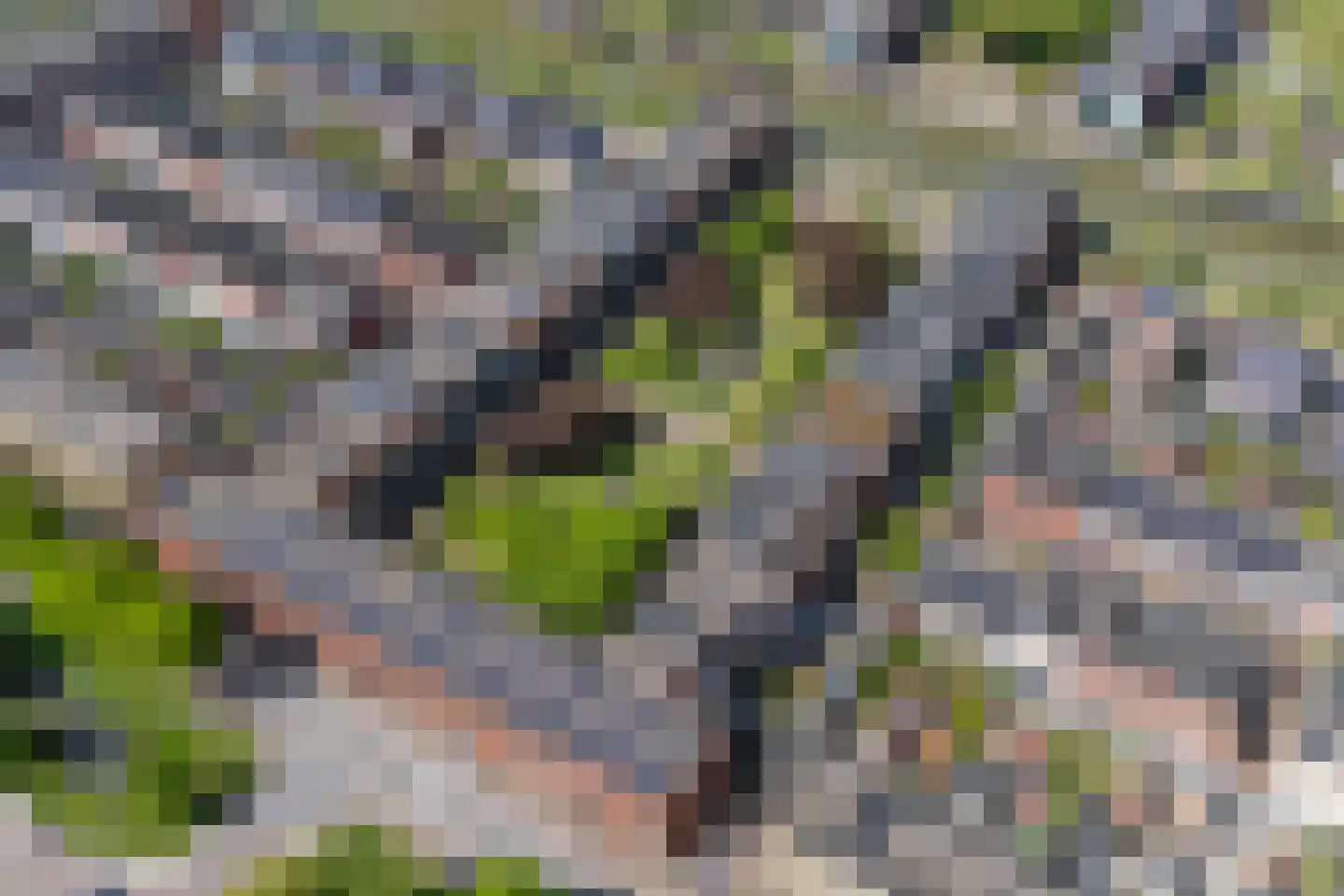 Leisteenoever 13 Nieuwegein thumbnail 86