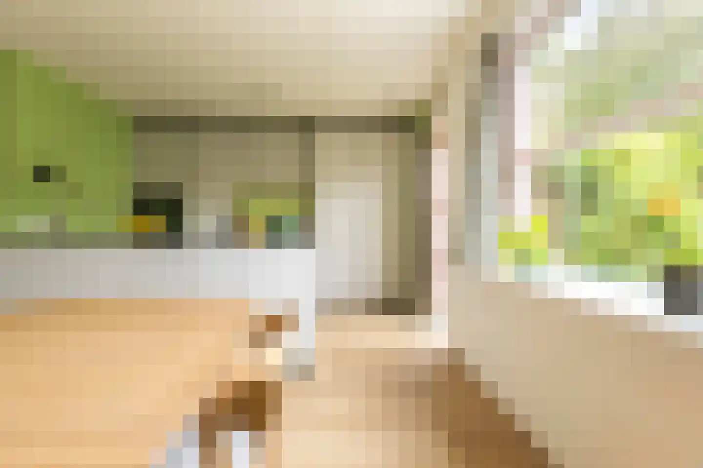 Leisteenstraat 15 Groningen thumbnail 15