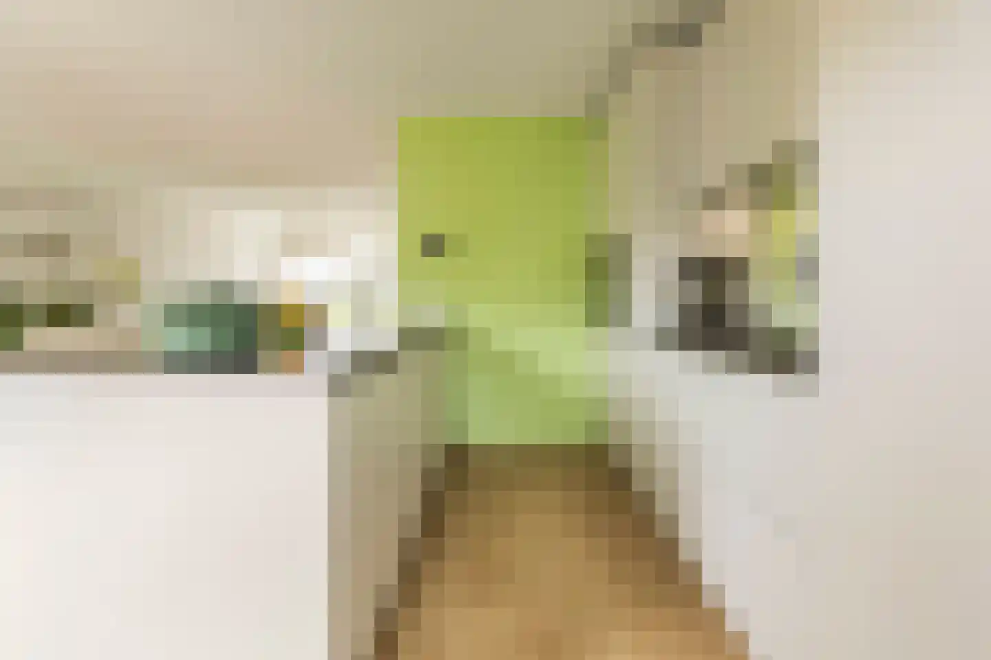 Leisteenstraat 15 Groningen thumbnail 19