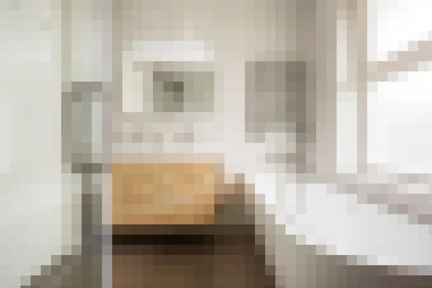 Leisteenstraat 15 Groningen thumbnail 28