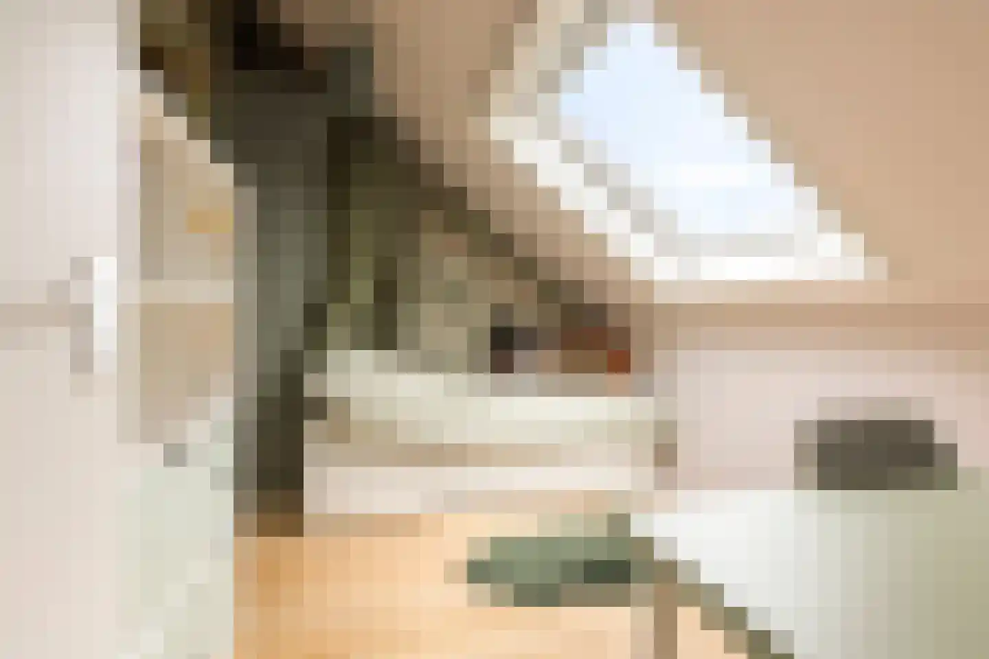 Leisteenstraat 15 Groningen thumbnail 33