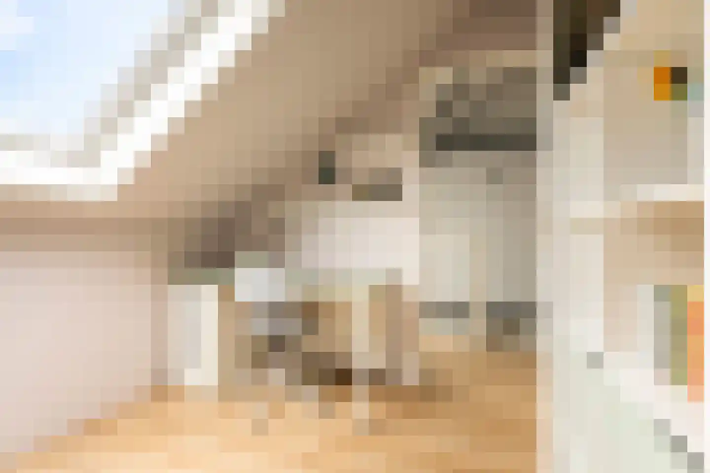 Leisteenstraat 15 Groningen thumbnail 34