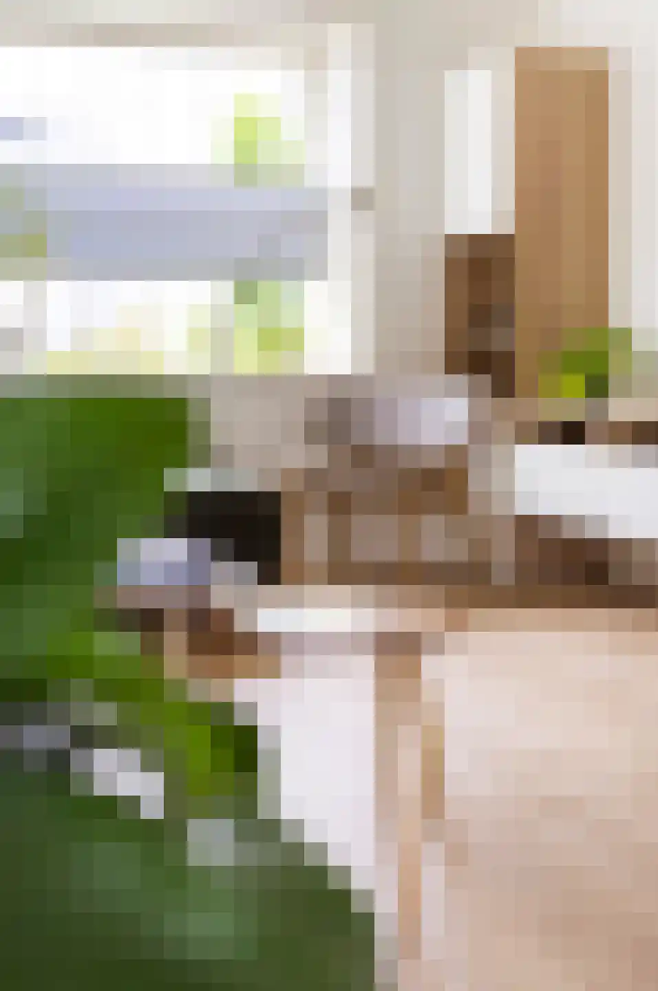 Leisteenstraat 15 Groningen thumbnail 8