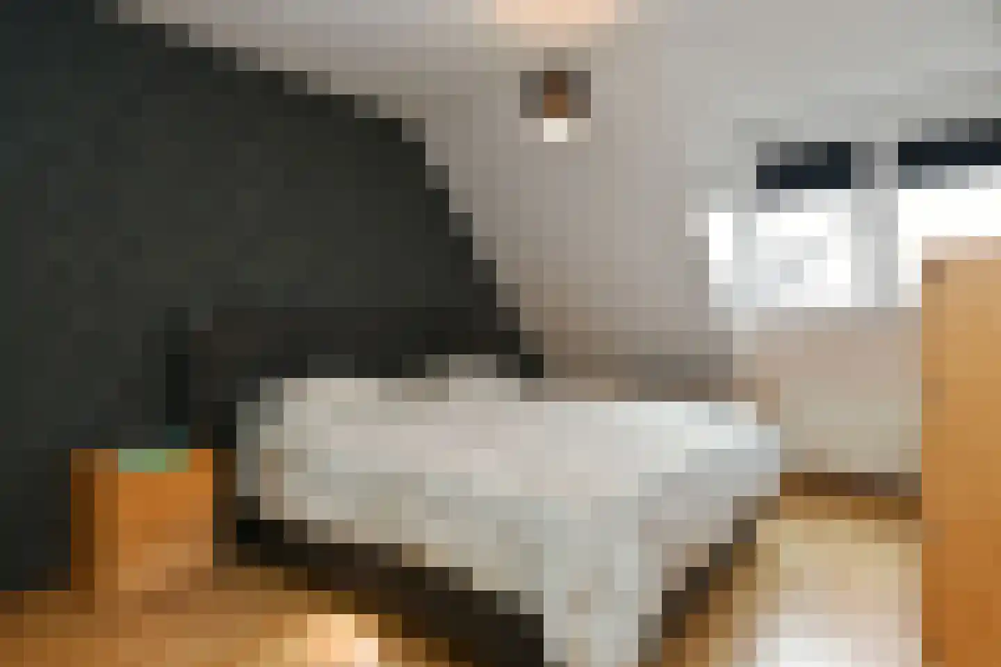 Leistraat 1 Eindhoven thumbnail 22