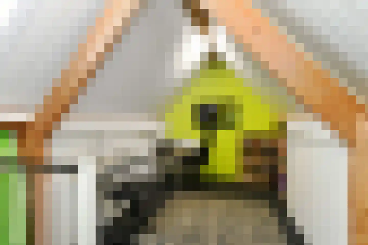 Leistraat 1 Eindhoven thumbnail 27