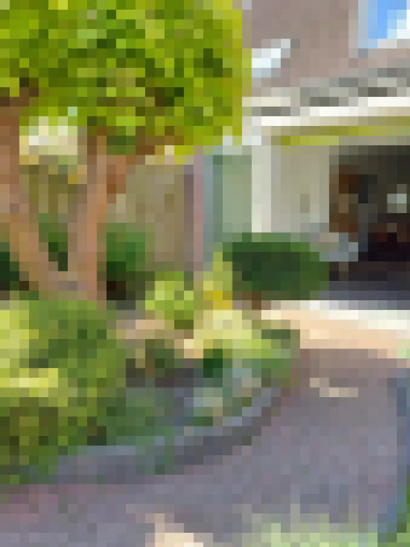 Leistraat 1 Eindhoven thumbnail 30