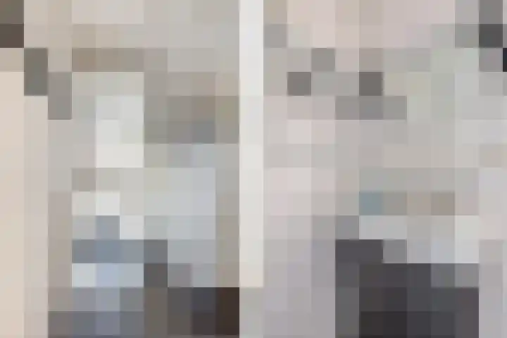 Leistraat 19 Breda thumbnail 32