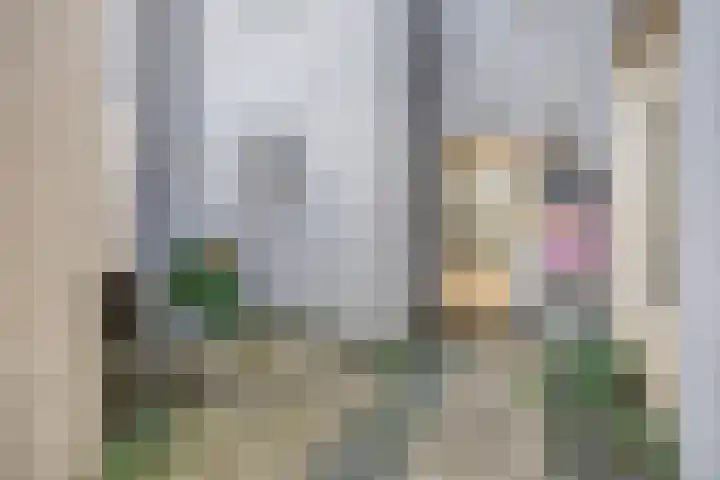 Leistraat 19 Breda thumbnail 34