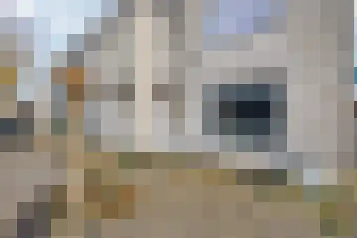 Leistraat 19 Breda thumbnail 9