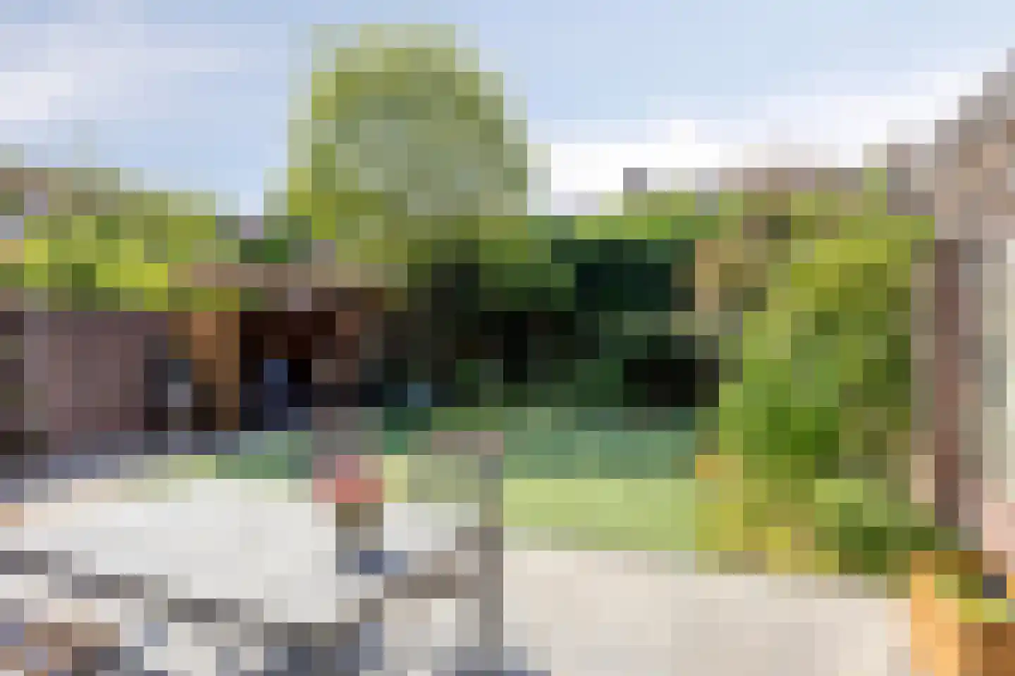 Leistraat 33 Eindhoven thumbnail 4