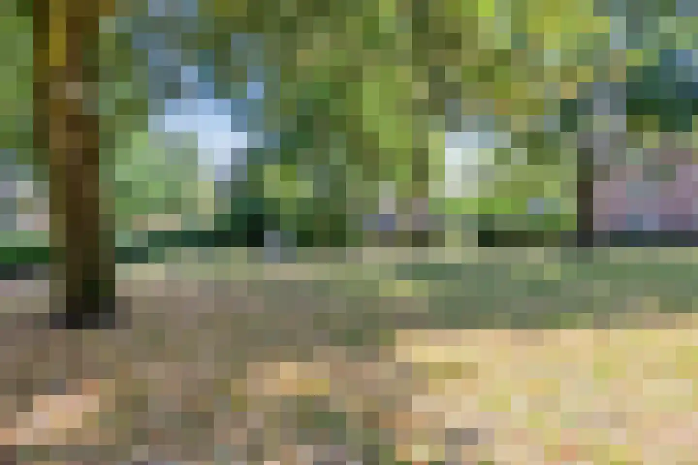 Leistraat 33 Eindhoven thumbnail 43