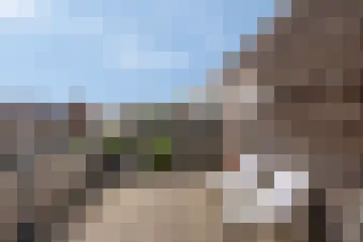 Leistraat 62 A2 Breda thumbnail 32