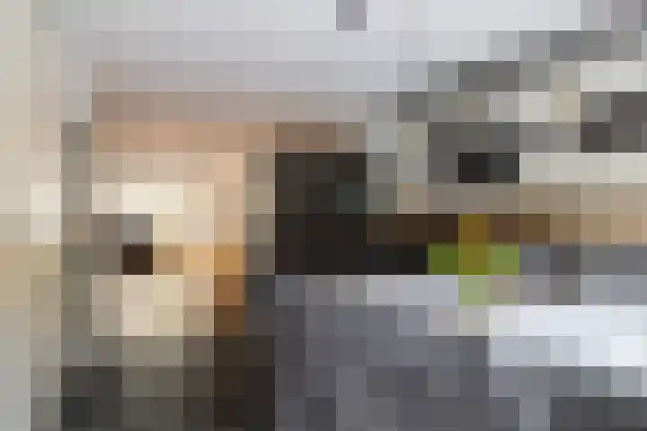 Leistraat 62 A3 Breda thumbnail 12