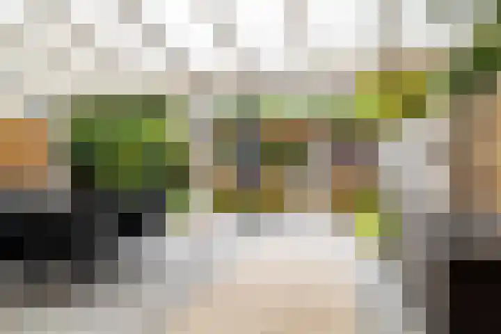 Leistraat 62 A3 Breda thumbnail 16