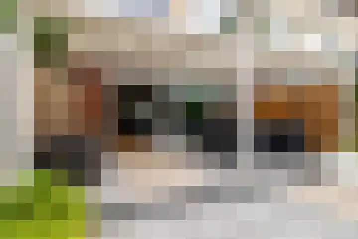 Leistraat 62 A3 Breda thumbnail 21