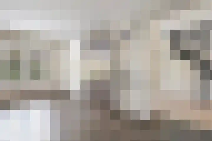 Leiwater 107 Zoetermeer thumbnail 15