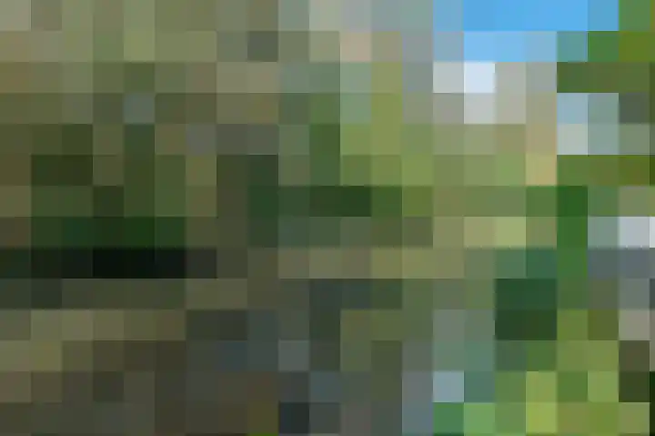 Leiwater 107 Zoetermeer thumbnail 30