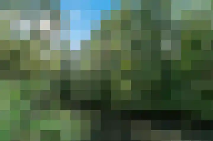 Leiwater 107 Zoetermeer thumbnail 31