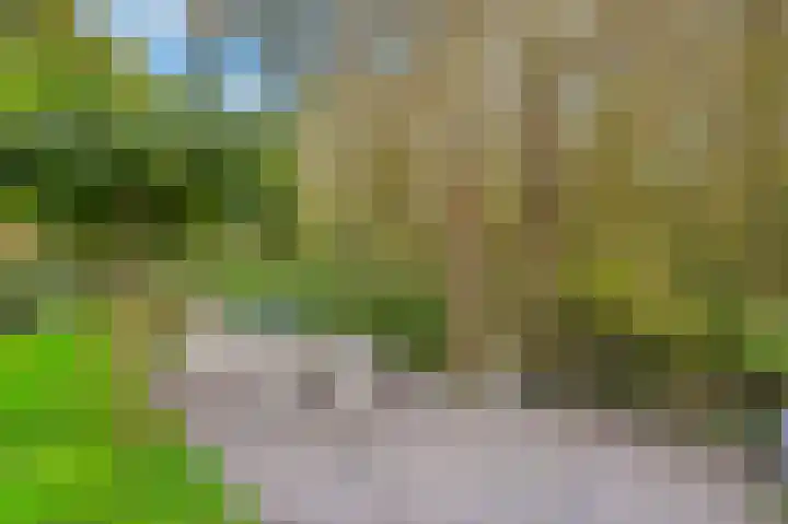 Leiwater 107 Zoetermeer thumbnail 36