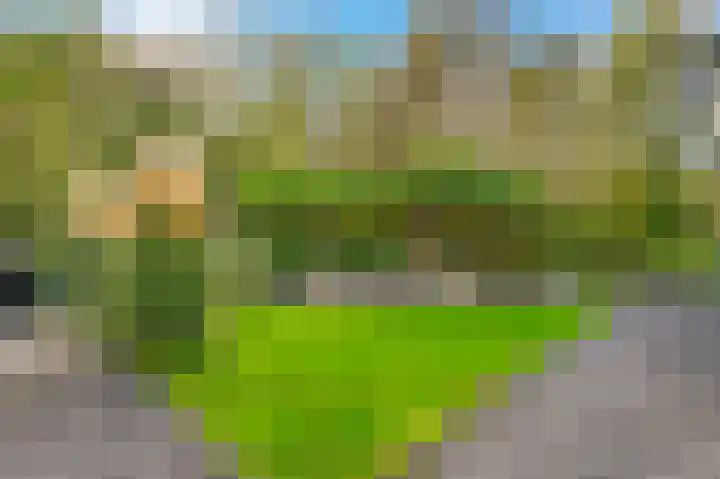 Leiwater 107 Zoetermeer thumbnail 38