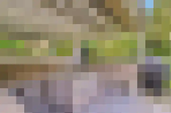 Leiwater 107 Zoetermeer thumbnail 39
