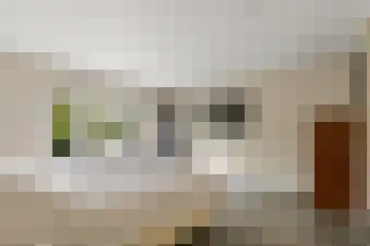 Leiwater 107 Zoetermeer thumbnail 62