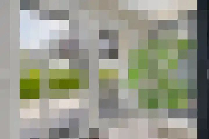 Leiwater 107 Zoetermeer thumbnail 8