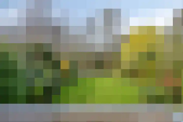 Leiwater 55 Zoetermeer thumbnail 28