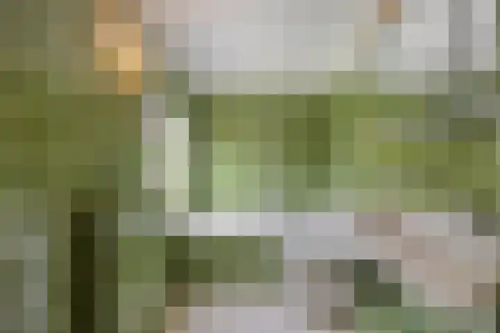 Leiwater 55 Zoetermeer thumbnail 30