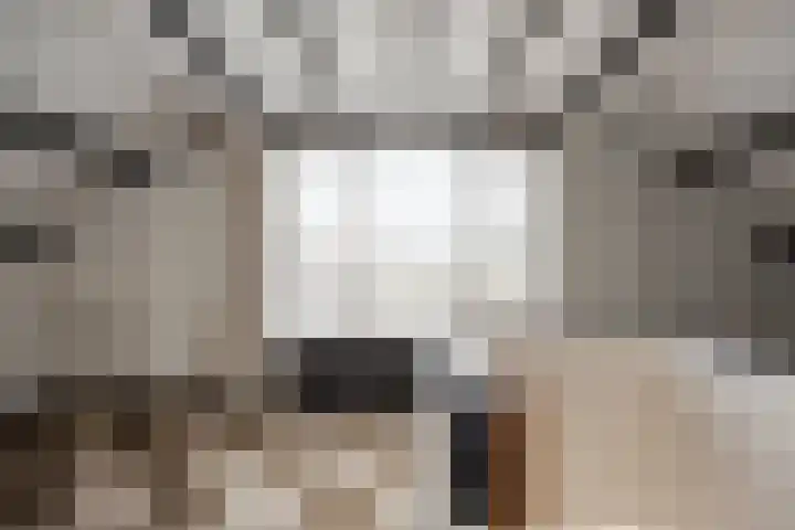 Leiwater 55 Zoetermeer thumbnail 38