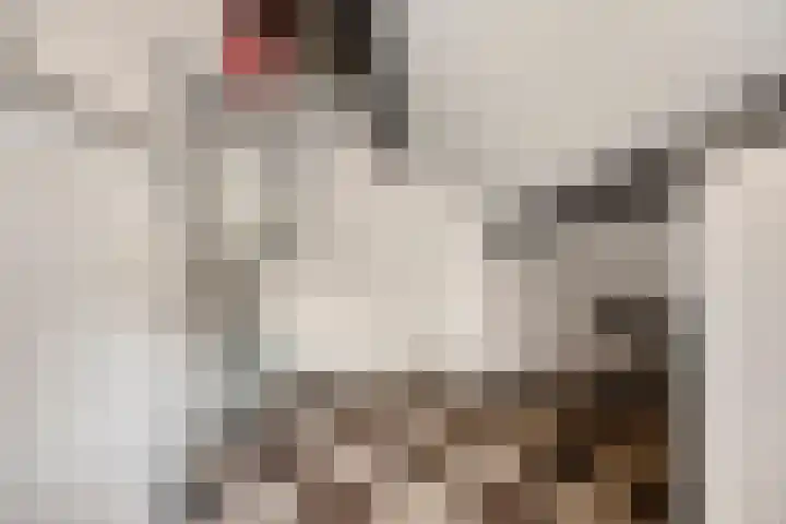 Leiwater 55 Zoetermeer thumbnail 41