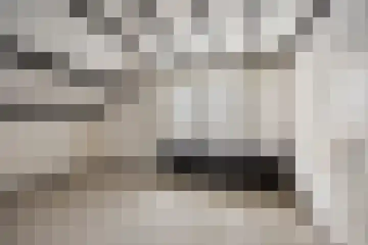 Leiwater 55 Zoetermeer thumbnail 44