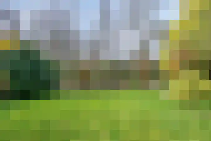 Leiwater 55 Zoetermeer thumbnail 51