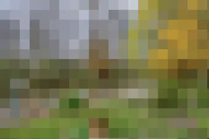 Leiwater 55 Zoetermeer thumbnail 57