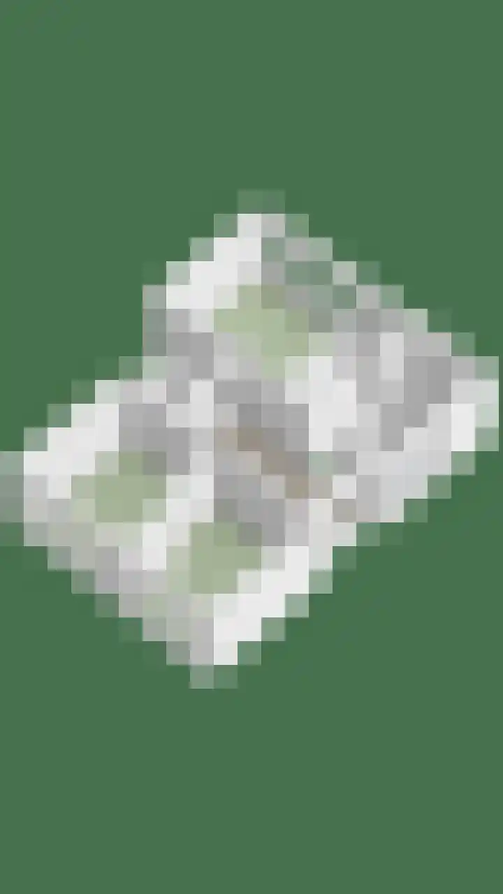 Leiwater 55 Zoetermeer thumbnail 63