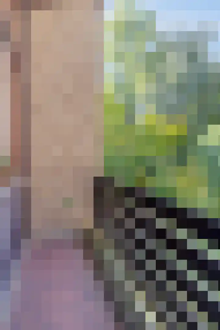 Leiwater 61 Zoetermeer thumbnail 35