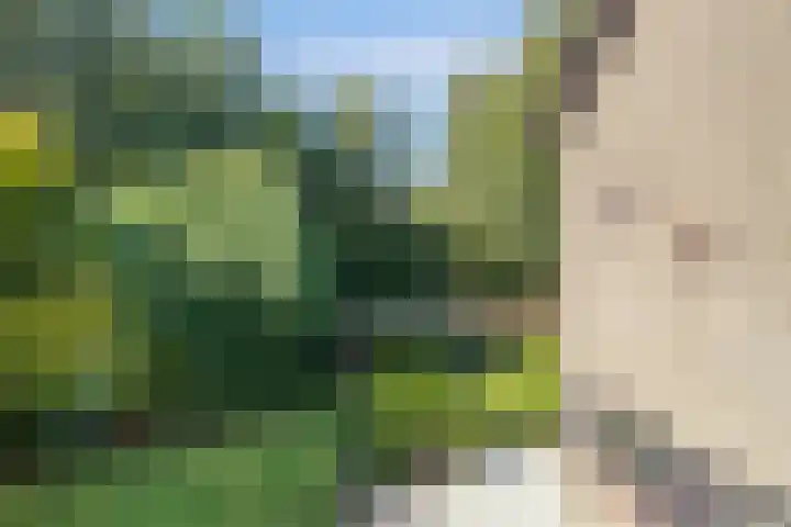 Leiwater 61 Zoetermeer thumbnail 37