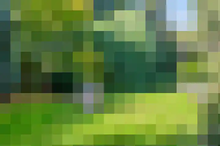 Leiwater 61 Zoetermeer thumbnail 45