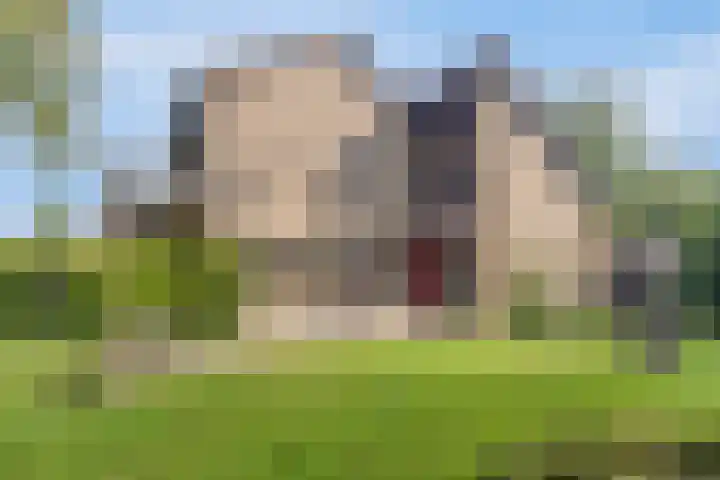 Leiwater 61 Zoetermeer thumbnail 48