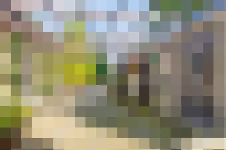 Leiwater 61 Zoetermeer thumbnail 5