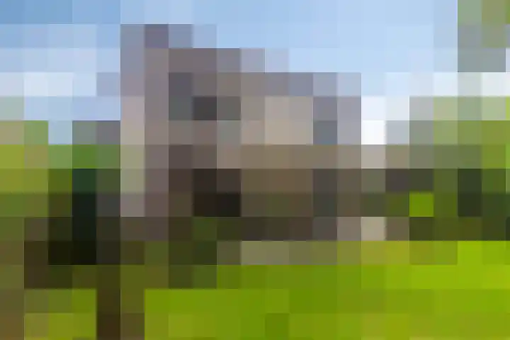 Leiwater 61 Zoetermeer thumbnail 50
