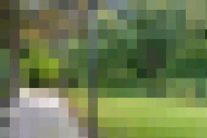 Leiwater 61 Zoetermeer thumbnail 51