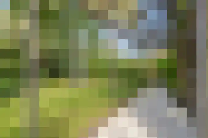 Leiwater 61 Zoetermeer thumbnail 52