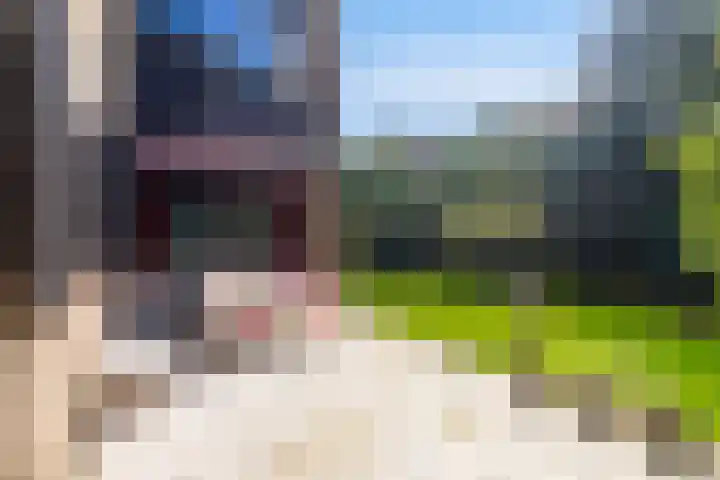 Leiwater 61 Zoetermeer thumbnail 53