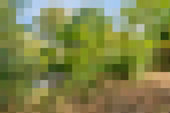 Leiwater 61 Zoetermeer thumbnail 55