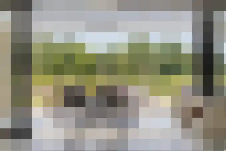 Leiweg 17 Geffen thumbnail 15