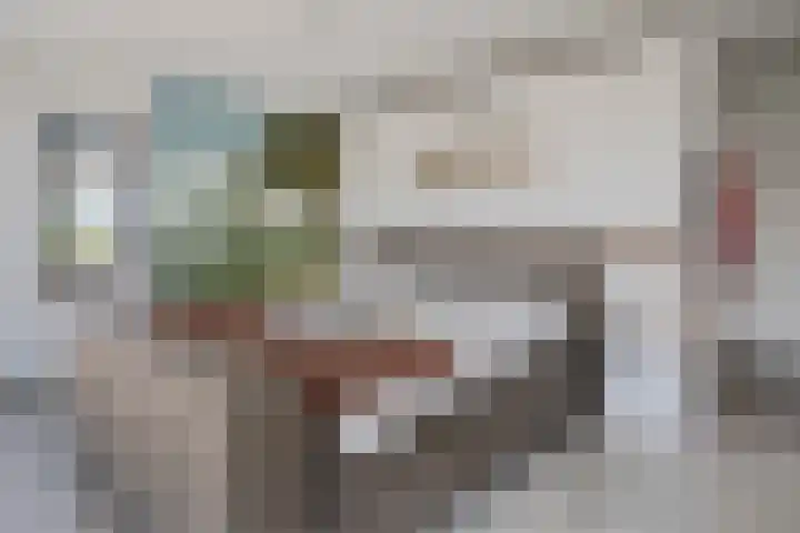 Leiweg 17 Geffen thumbnail 23